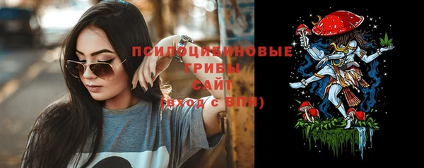 герыч Арсеньев