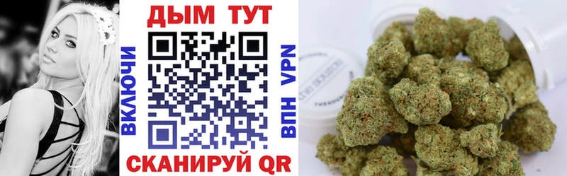 Бошки Шишки ГИДРОПОН  shop наркотические препараты  Туймазы 